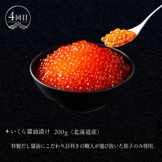 はこだて 海の幸 定期便 10万円 北海道産 プレミアム 全4回 海の恵 食通 うなる 海のごちそう セレクト 函館名物 いかそーめん いかそうめん いか刺し 戸井産 本マグロ 赤身 中トロ 函館サーモン いくら 醤油漬け 月替り お取り寄せ 北海道 函館市 送料無料_HS001-008