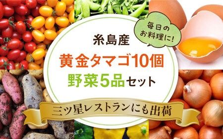 糸島の朝産み黄金タマゴ10個 朝どれ新鮮野菜5品 セット【福岡県糸島産】 糸島市 / オーガニックナガミツファーム 玉子 やさい [AGE046]