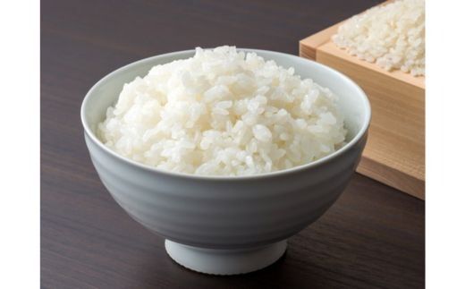 【令和7年産】無洗米 コシヒカリ5kg 茨城県常総市産