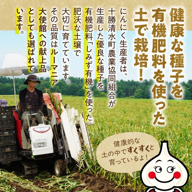 【北海道産】十勝育ちのにんにく バラ5kg にんにく ニンニク ガーリック にんにく 北海道産 にんにく_S021-0026