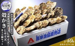 厚岸産 殻かき 3L 20個・L 20個セット (合計40個) 北海道 牡蠣 カキ かき 生食  魚介類 マルえもん