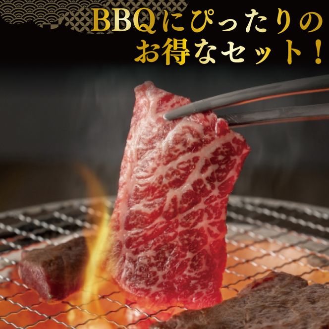 DT-59　バーベキューセット（3～5人前）【合計１.４kg以上】
