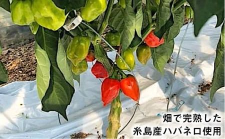 ハバネロ しょうゆ 100ml《糸島》【シェフのごはんやさん四季彩】【いとしまごころ】[ACC009] 醤油 タレ お試し 小さいサイズ 少量 国産 ハバネロ 唐辛子