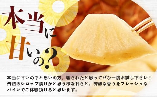 《2026年5月中旬以降順次発送》香りに溺れる！？ 完熟の極 てとの黄金パイン大玉約4kg【 沖縄 石垣 ゴールデン 黄金 パイン パイナップル 完熟 大玉 セット フルーツ デザート 】 TF-25_R8