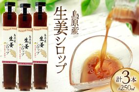 AJ309 生姜シロップ 瓶 250ml 3本 [ 生姜 シロップ しょうが しょうがシロップ ジンジャエール 素 生姜焼き 長崎県 島原市]