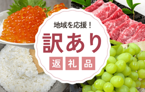 有田産の安心国産レモン約3kg (サイズ混合)※2025年10月中旬 有田産の安心国産レモン約3kg (サイズ混合)※2025年10月中旬
