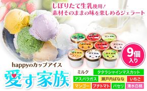 愛す家族 カップアイス 9個入り 笠岡ジェラート 工房ハッピーのカップアイス ハッピー＆甲和株式会社 ジェラート アイス ミルク たたらシャインマスカット 清水白桃 いちご アスパラガス プチトマト 瀬戸内バナナ マンゴー パセリ 岡山県 笠岡市---A-35---