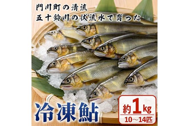 冷凍鮎(約1kg・10～14匹) 鮎 冷凍 小分け 国産 門川町産 宮崎県産 塩焼き あゆ 魚 魚介 川魚 養殖 香魚 甘露煮 【ME-04】【米良水産】