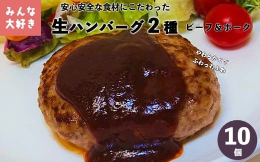 みんな大好き  ハンバーグ  10個セット （ビーフ・ポーク）【1223】
