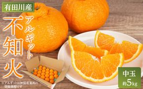 アルギット 不知火 約5kg 中玉 サイズ（20～22玉）| 先行予約 不知火 デコ みかん 甘い おいしい ジューシー 完熟 期間限定 数量限定 フルーツ 果物 柑橘 人気 おすすめ 高級 こだわり ギフト 旬 お取り寄せ 送料無料 和歌山 有田川町 DT017