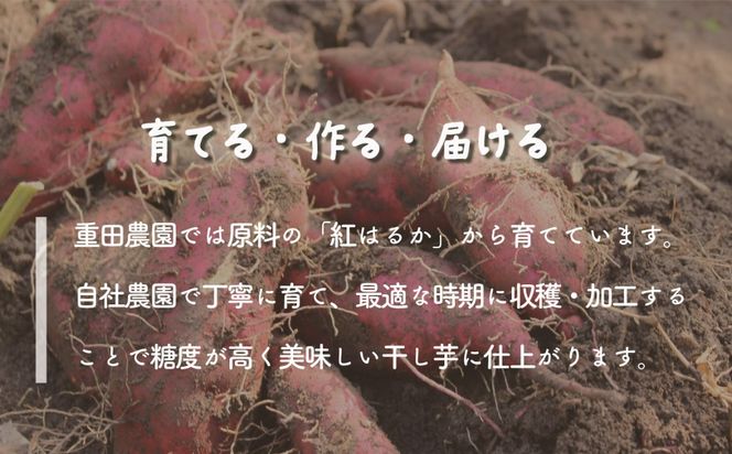訳あり ほしいも 紅はるか シロタ 1kg 平干し 家庭用 自社栽培 直送 国産 干し芋 茨城 農家 直送 熟成 茨城県 八千代町産 干しいも べにはるか さつまいも [CY004ya]