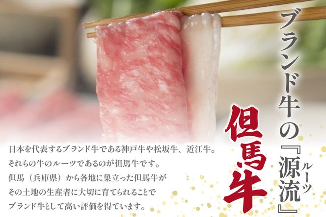 【但馬牛スライス&但馬牛焼肉用切り落とし 計500g（スライス切り落とし250g・焼肉用切り落とし250g）】冷凍  但馬牛 和牛 国産 大人気 人気 おすすめ ランキング 牛肉 スライス しゃぶしゃぶ すき焼き 肉じゃが ステーキ 焼肉 BBQ 肉 小分け 便利 但馬 兵庫県 但馬牛 JAたじま肉の店本店 72-22