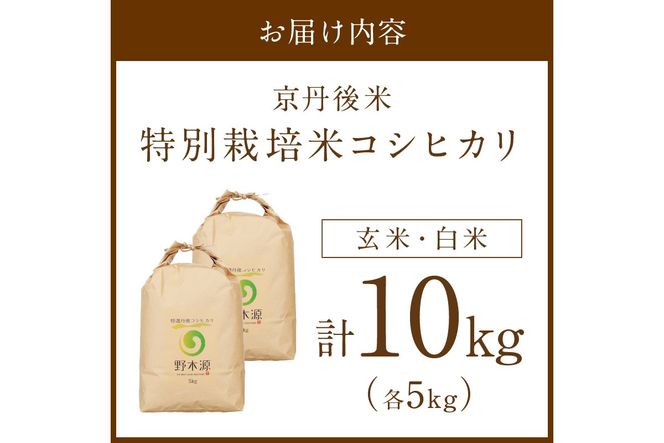 2026年産 京丹後米 特別栽培米コシヒカリ 玄米・白米 各5kg 白米 玄米 ふるさと納税 米 精米 お米 ご飯 ごはん コシヒカリ 京丹後産　NO00036