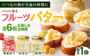 【全6回定期便】お楽しみ定期便 フルーツバター大1個 糸島市/糸島正キ ジャム クリーム 果物[AQA063] バター フルーツバター フルーツ 果物 いちご あまおう みかん 金柑