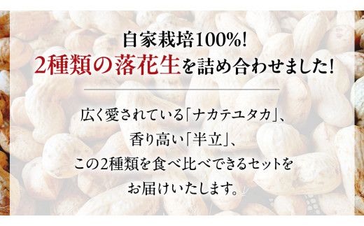 牛久市産 落花生 半立セット ピーナッツ ピーナツ ナカテユタカ 中手豊 半立 はんだち 食べ比べ 農園 自家栽培 有機栽培 おやつ お菓子 おつまみ お取り寄せ 詰め合わせ セット お土産 贈り物 ギフト プチギフト 国産 茨城 特産品 ビールのお供 [AX003us]