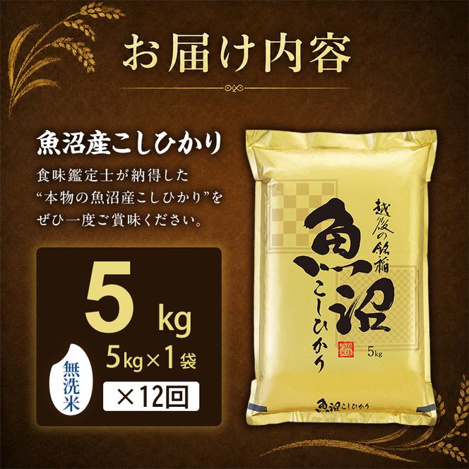 【令和8年産 先行予約】無洗米「12カ月定期便」食味鑑定士厳選！５ｋｇ×12回 白米 安心 安全 こだわり 米 コシヒカリ 定期 新潟県 十日町市
