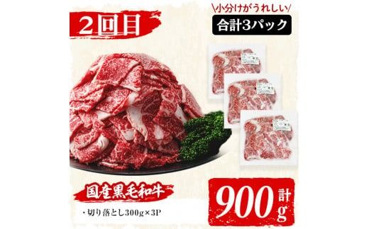 【定期便・全3回】国産黒毛和牛と九州産豚肉の食卓お助けゴーゴー定期便 計5.55kg t0037-002
