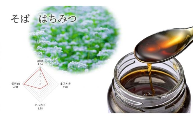 養蜂家のとっておき 国産 はちみつ 3種 食べ比べ 各120g×1本 計3本 蜂蜜 ハチミツ りんご ヘアリーベッチ そば ハニー 養蜂 養蜂家 蜜源 ギフト 贈答用 お取り寄せ 日新蜂蜜 送料無料 岐阜県 安八町