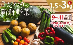 こだわりの新鮮野菜 af-0001