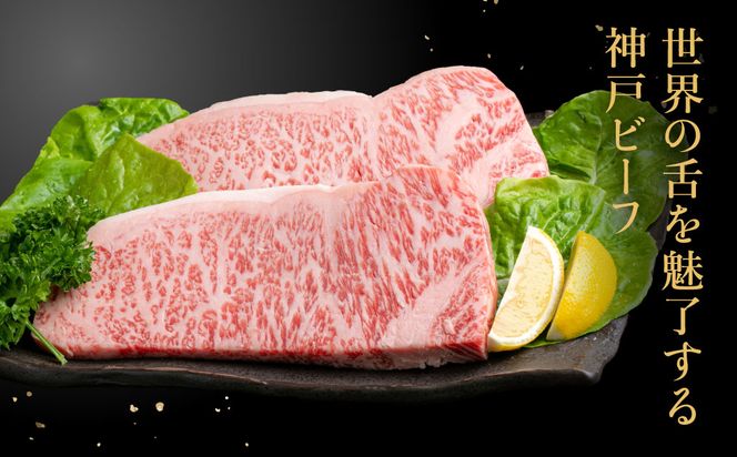 神戸牛 ロースステーキ 500g(250g×2枚) / 牛肉 ステーキ ロース 霜降り ステーキ肉 但馬牛 黒毛和牛 和牛 国産牛 赤身 ステーキ 牛 肉 焼肉 太田牧場 太田牛 神戸ビーフ TYST5【但馬牛太田家】【2026年4月より順次発送】