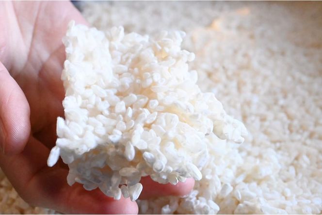 京都・丹後産日本晴（玄米）5㎏と米麹1kg（日本晴使用）セット　YF00009