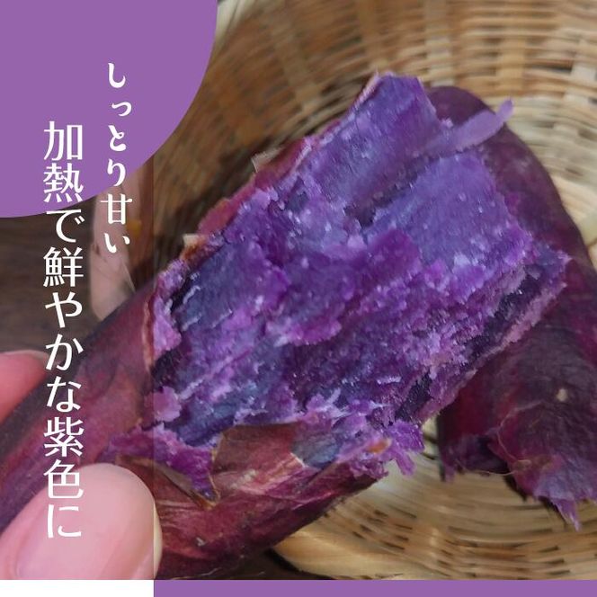 【2025年11月より順次発送】2025年度産 パープルスイートロード 約2kg｜さつまいも 芋 お芋 パープルスイートロード 渋谷農園 先行予約 茨城県 行方市(BZ-54)