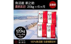 【令和7年産】定期便！魚沼産 新之助【合計120kg】20kg×6回 お米 米 こめ コメ 