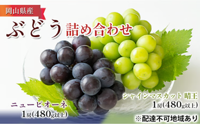 ぶどう 2026年 先行予約 詰め合わせ ニュー ピオーネ 1房（480g以上）・ シャイン マスカット 晴王 1房（480g以上）化粧箱入り ブドウ 葡萄 岡山県産 国産 フルーツ 果物 ギフト