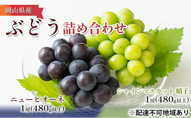 ぶどう 2026年 先行予約 詰め合わせ ニュー ピオーネ 1房（480g以上）・ シャイン マスカット 晴王 1房（480g以上）化粧箱入り ブドウ 葡萄 岡山県産 国産 フルーツ 果物 ギフト