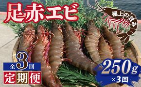 099Z386 【定期便】足赤エビ 250g×全3回 計750g【国産 えび 天然 ぷりぷり 海鮮 水揚げ 生食可】