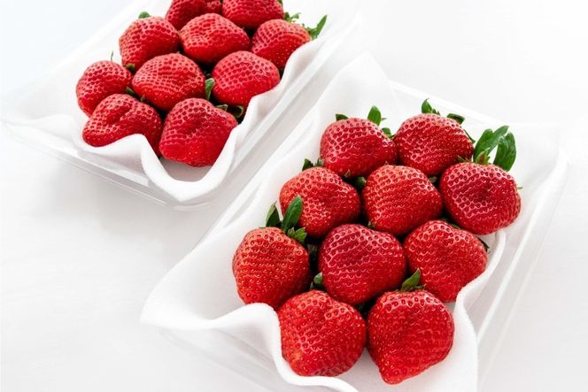 いちご あまおう 270g 4p 計約1kg【2月後半-3月後半発送】 2027年発送 先行予約 [hurrah. 福岡県 宇美町 um40bjm200000] イチゴ 苺 フルーツ 果物 果実 甘い あまい グランデ