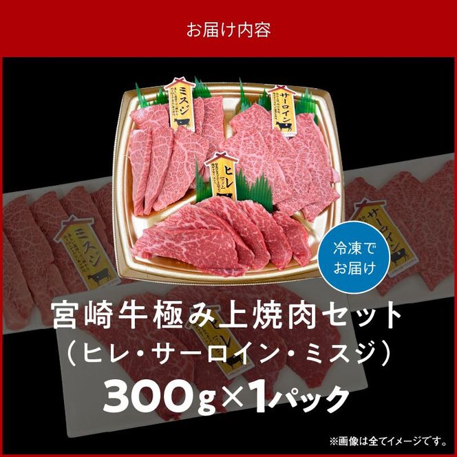 宮崎牛極み上焼肉セット 合計 300g　N0140-YB086