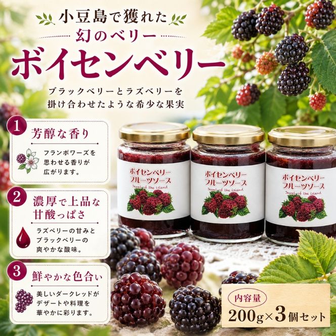 小豆島で獲れた女性に嬉しい効果がたっぷり！ボイセンベリーソース3個セット フルーツソース ボイセンベリー セット ギフト 贈り物