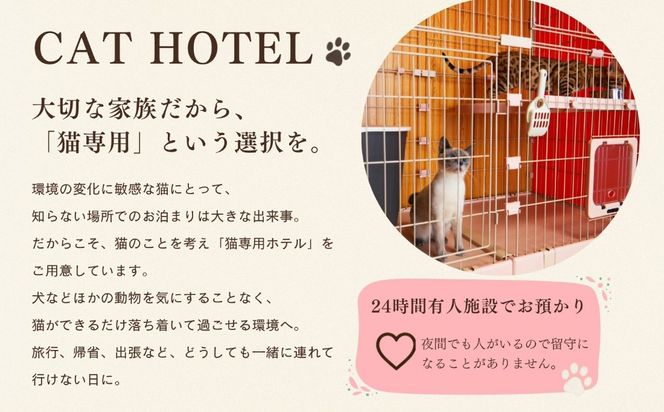 【長野県飯山市】 リバティベル（にゃんほてる＆猫カフェ） 利用券 3,000円分（T-17）