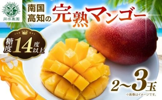 [令和8年産 先行予約受付] 完熟 マンゴー 2玉 〜 3玉 800g 〜 900g フルーツ 果物 くだもの 季節限定 期間限定 旬 限定 高糖度 南国フルーツ 南国マンゴー スイーツ デザート アレンジ プリン ケーキ スムージー 国産 メリーガーデン 高知県安芸市 予約 アップルマンゴー アーウィン 鉢植え 自然落下 ギフト 贈答用 岡宗農園 6月 7月 夏 高知 安芸市 高知県