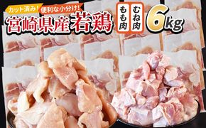 ＜宮崎県産若鶏切身 6kg（むね肉 300g×10袋 もも肉 300g×10袋）＞ 翌々月までに順次出荷 【 セット 詰め合わせ からあげ 唐揚げ カレー シチュー BBQ 煮物 チキン南蛮 小分け おかず おつまみ お弁当 惣菜 時短 炒め物 簡単料理 】【b0796_it_x2】