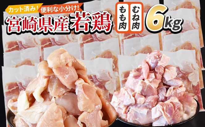 y{茧xz{茧Y{ؐg 6kgiނ˓ 300g×10  300g×10܁j X܂łɏo y Zbg lߍ킹 炠 g J[ V`[ BBQ ϕ `L   ܂ ٓ y Z uߕ ȒP zyb0796_it_x2z
