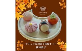 D243 ナチュラル和菓子体験キット　ギフトセット
