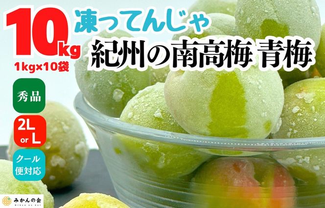 【2026年7月上旬～出荷予定】梅 冷凍 青梅 南高梅 10kg ( 1kg × 10袋) 秀品 2L or Lサイズ 和歌山県産 紀州有田 【みかんの会】AX405