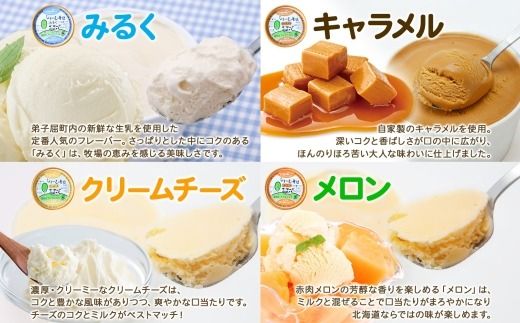 1334.アイスクリーム ジェラート 食べ比べ 8個 アイス 定番 おすすめ B セット 手作り 北海道 弟子屈町