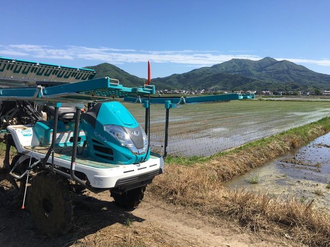 コシヒカリ 精米5kg 亀熊米 令和7年産 【茨城県共通返礼品　桜川市産】 ｜ 茨城県産 白米 米 コメ ※離島への配送不可