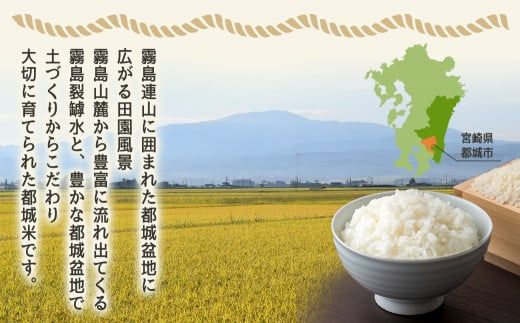 みやこんじょ育ち都城産ひのひかり10kg≪みやこんじょ特急便≫_33-K701-Q