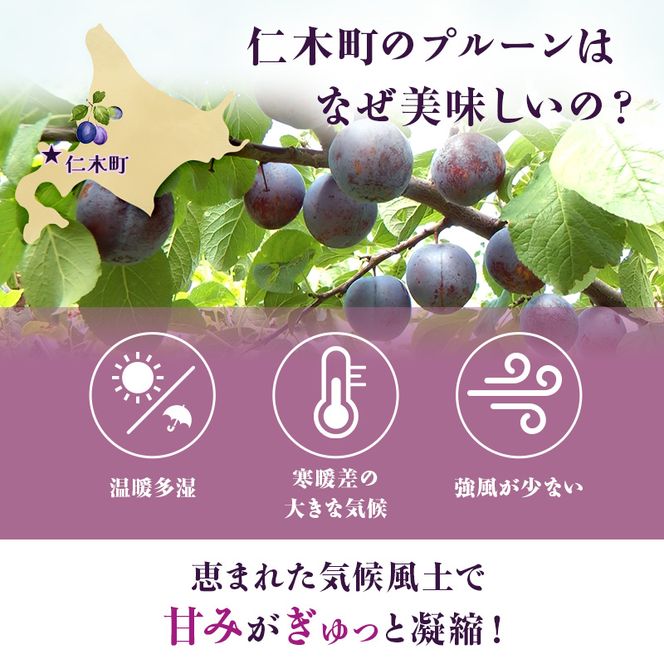 [先行受付] 【8月上旬～9月上旬出荷】北海道 仁木町産 プルーン 約3kg（500g×6パック）サイズ混合 果物類 フルーツ 果物 詰合せ セット [くだもの直売  もり園]