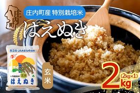 庄内町産 はえぬき 無洗米 2kg 2kg×1袋 令和7年産 2025年産 余目産 余目町農協 あまるめ ブランド米 米 国産 単一原料米 山形 庄内平野 コシヒカリの原点、亀の尾発祥の地 庄内