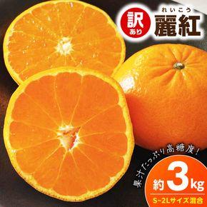【2027年先行予約】《訳あり 家庭用》麗紅 約3kg（S～2Lサイズ混合）_EQ6003