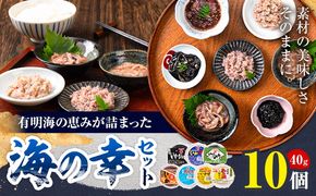 内野海産の海の幸セット 10個入り 《45日以内に出荷予定(土日祝除く)》あみ漬 いか 海苔 佃煮 塩辛 いかすみ---sn_cuchisaci10_45d_24_11000_400g---