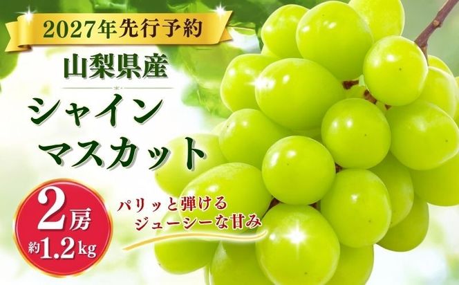 【207年 先行予約】 山梨県産 シャインマスカット ２房 (1.2kg以上)GA001 シャイン シャインマスカット 葡萄 ブドウ ぶどう  フルーツ