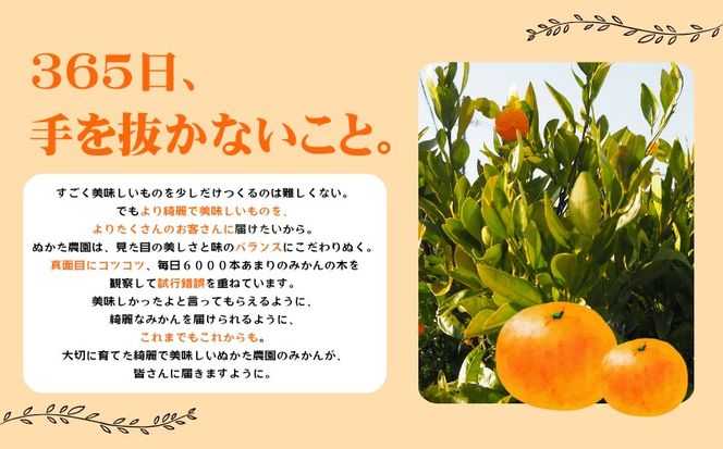 みかん 【2026年秋頃発送予約分】こだわりの青切りみかん　約5kg  有機質肥料100%　 サイズ混合　※2026年9月～10月に順次発送予定（お届け日指定不可）【nuk150D】