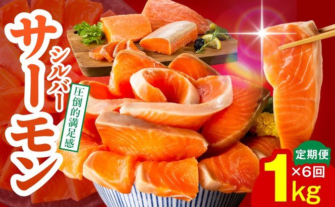 099Z347 サーモン 定期便 1kg×全6回【ポーション 訳あり サイズ不揃い 刺身 海鮮丼 さーもん サラダ カルパッチョ 鮭 さけ シャケ しゃけ 人気 小分け 冷凍 家計応援】