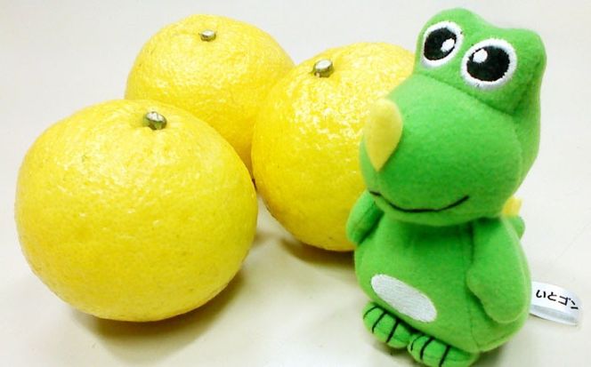 爽やかに甘い！ 糸島産 「はるか」 ジャンボサイズ 約5kg（3L-4Lサイズミックス）糸島市 / 二丈赤米産直センター[ABB031]